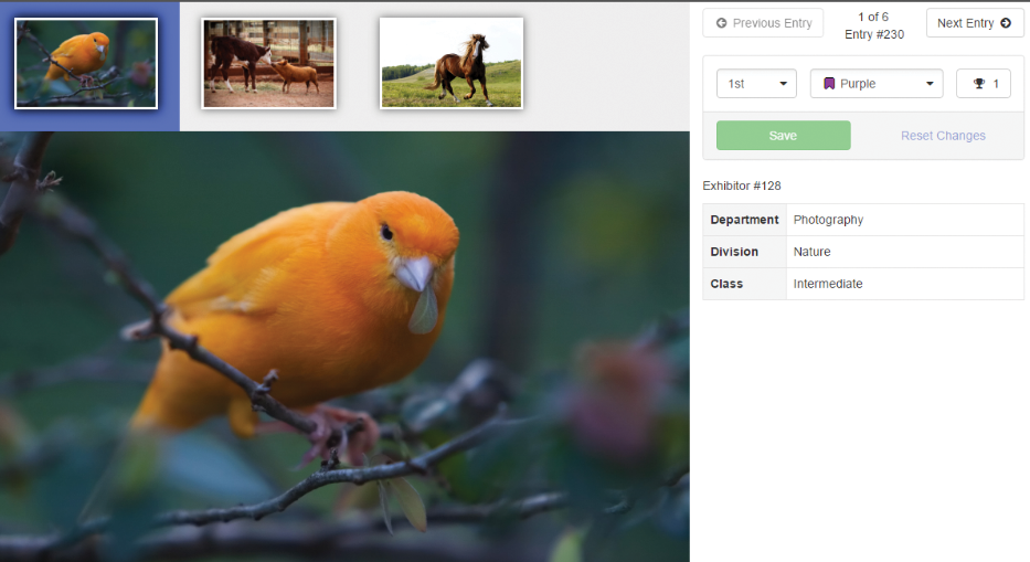 FairEntry photo uploads and online photo judging tools